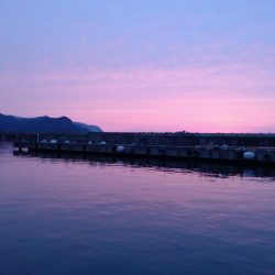 先週のリベンジ